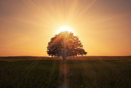 ekospiritüellik nedir? doğa ile